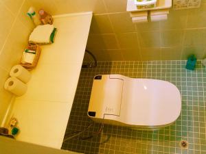 a white toilet in a bathroom with green tiles at Guest House Miyakojima in Miyako-jima