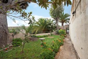 A garden outside Casa El Drago