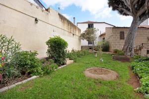 A garden outside Casa El Drago