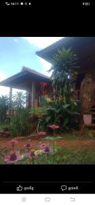 a picture of a house with flowers in front of it at Happy bungalow & trekking in Banlung