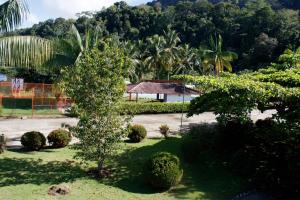 Zahrada ubytování Hotel Samoa del Sur