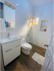een badkamer met een toilet, een wastafel en een douche bij Oasis de Paz 2.1 in Jarabacoa