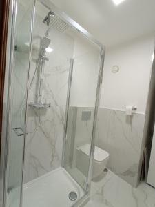 ein Bad mit einer Dusche und einem WC in der Unterkunft Relais Campanile Adelaide in Florenz