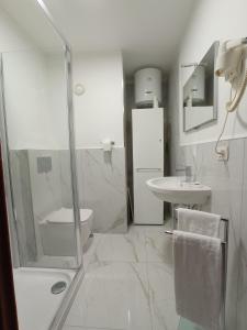 ein Bad mit einer Dusche, einem WC und einem Waschbecken in der Unterkunft Relais Campanile Adelaide in Florenz