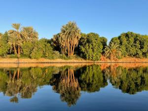 a reflection of palm trees in a body of water at My Dream Nile Felucca in Aswan