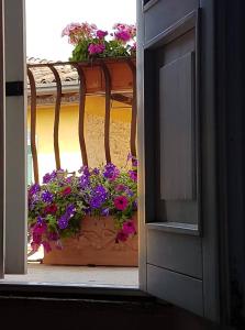 ロナートにあるBed & Breakfast Belfioreの窓(花の鉢付)