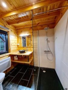 a bathroom with a shower and a sink and a toilet at Gîte le Chalet Aura & jacuzzi in Abreschviller