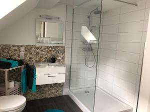 a bathroom with a shower and a toilet and a sink at Apartment Maria in Kürten