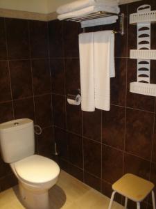 a bathroom with a toilet and towels on a wall at Apartamentos De Turismo Rural Heredero in Burguillos del Cerro