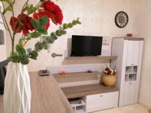 a living room with a tv and a vase with red flowers at Colosseum apartment in Rome