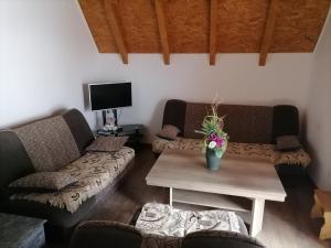 a living room with two couches and a coffee table at Vila Vlajić 2015 in Gornje Pale