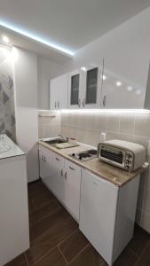 uma cozinha com um fogão e um micro-ondas no balcão em Apartman Vivaldi - CENTAR em Vrnjačka Banja