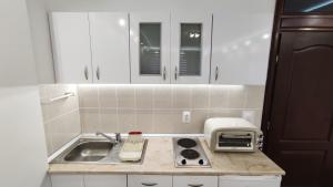 a kitchen with a sink and a toaster on a counter at Apartman Vivaldi - CENTAR in Vrnjačka Banja