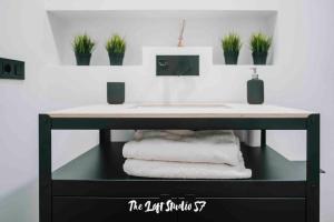 a bathroom counter with a sink and some plants at The Loft Studio 57 - VUT.3352AS in Ribadesella