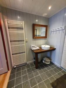 a bathroom with a sink and a mirror at Huisje onder de Linden in Munnekeburen