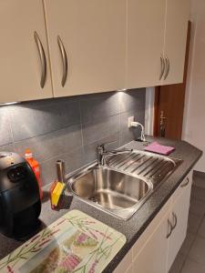 un bancone della cucina con lavandino in acciaio inossidabile di Studio Dante a Le Noirmont