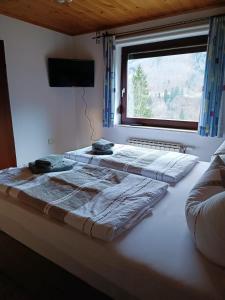 2 Betten in einem Zimmer mit Fenster in der Unterkunft Ferienwohnung im Nationalpark Gesäuse in Hieflau