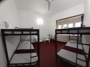 um quarto com 3 beliches e uma janela em Lazy Bear Best Hostel in Kandy em Kandy