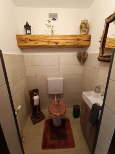 Kúpeľňa v ubytovaní Ferienwohnung im Nationalpark Gesäuse