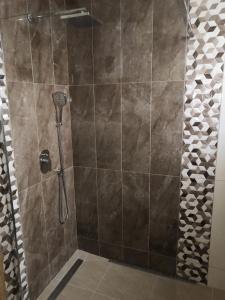 y baño con ducha con cabezal de ducha. en Apartman Deni en Travnik