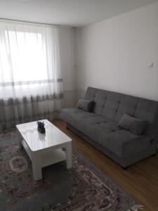 sala de estar con sofá y mesa de centro en Apartman Deni en Travnik