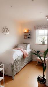 a bedroom with a bed and a window and a plant at Samona in Kilkeel
