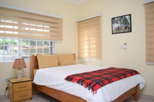 a bedroom with a bed and a window at Green Court Serviced Apartments in Accra