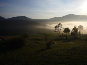 un campo de niebla con un árbol y montañas en el fondo en Hawksview at Mafeking en Mafeking