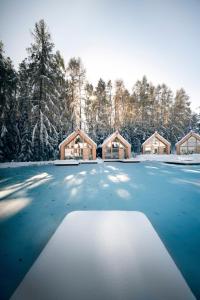 un patio cubierto de nieve con un grupo de casas en ADLER Lodge RITTEN en Soprabolzano
