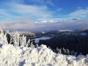 サン・ロレンツォ・ディ・セバートにあるKehrerhof Urlaub auf dem Bauernhofの雪山と湖と木々の景色