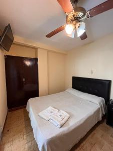 1 dormitorio con 1 cama y ventilador de techo en Apart La Cantora en Gualeguaychú