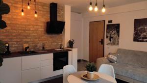 a kitchen and living room with a couch and a table at Casa Larisa - Wolves Apartment in Sinaia +21 photos