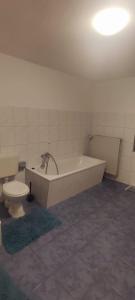 a bathroom with a bath tub and a toilet at Siegen Achenbach 2 in Siegen