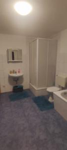 a bathroom with a toilet and a sink at Siegen Achenbach 2 in Siegen