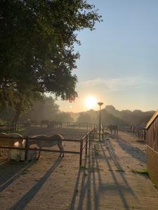 Φυσικό τοπίο κοντά σε αυτή η παραθεριστική κατοικία