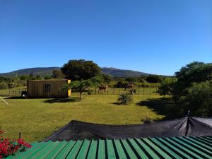 a view of a field with horses in the background at El Encuentro - Casa para 12 personas in Maldonado
