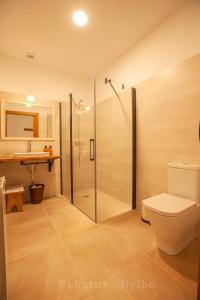 a bathroom with a shower and a toilet and a sink at Bidegurutzeta landetxea in Urnieta