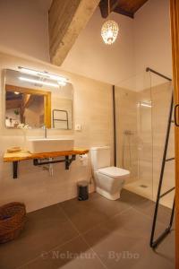 uma casa de banho com um lavatório, um WC e um espelho. em Bidegurutzeta landetxea em Urnieta