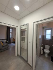 łazienka z toaletą i lustrem w obiekcie Witrina Apartments w Zagrzebiu