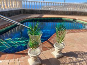 deux vases en verre avec des plantes à côté d'une piscine dans l'établissement Villa Sally, à Adeje