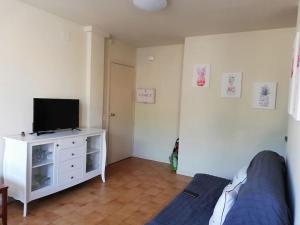 TV a/nebo společenská místnost v ubytování Casa Rodrigues -gran reserva