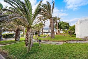 a group of palm trees in a park at Apartamento Poris in Arico