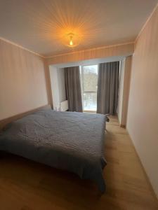 a bedroom with a bed with a light on the ceiling at Roja Lux Apartment in Roja