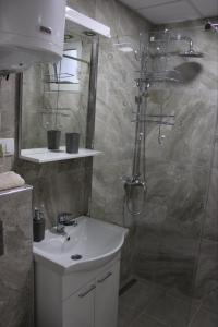 a bathroom with a sink and a shower at Apartmani Borova Iglica Divčibare in Divčibare
