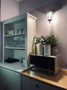 a kitchen with a hutch with plants in it at Inna Strefa - Sleep & Restaurant in Inowrocław