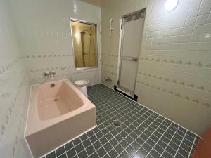 uma casa de banho branca com um lavatório e um chuveiro em 旭川ホテルユニオン-大人専用 em Asahikawa