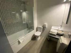 a bathroom with a shower and a toilet and a sink at La Roselière in Saint-Quentin-Fallavier