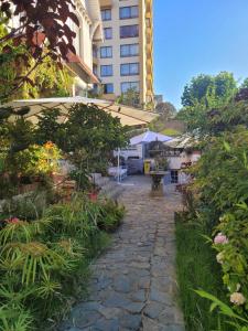 Gallery image of Hotel Boutique Lion in Viña del Mar