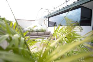 una casa con plantas verdes en primer plano en AmazINN Places Rooftop and Jacuzzi I, en Panamá