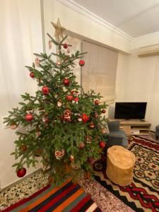 a christmas tree in a living room at Ortansia in Dimitsana